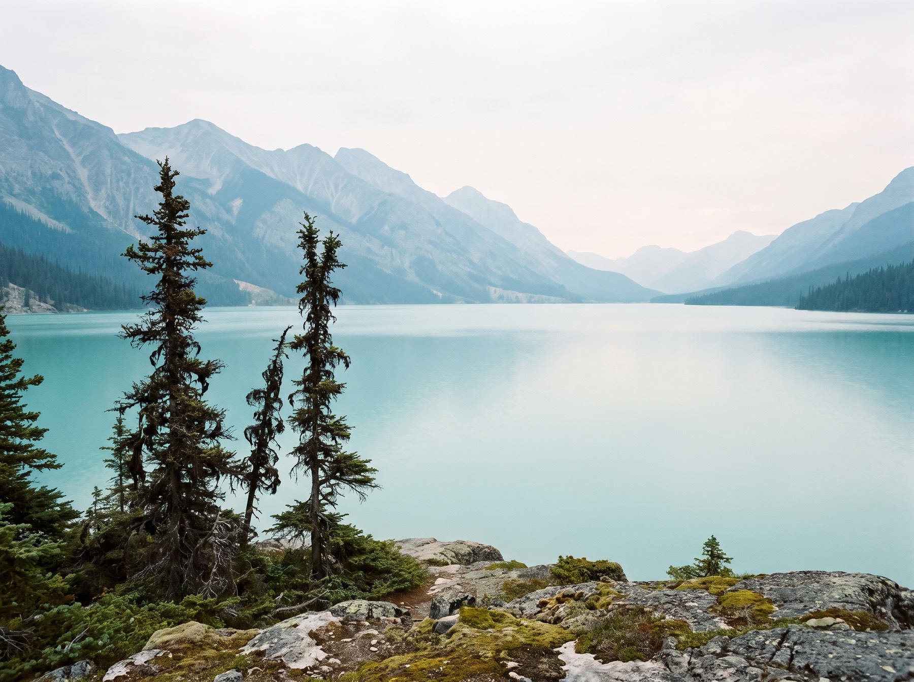 A glacial lake below grey mountains, dark firs on the shore